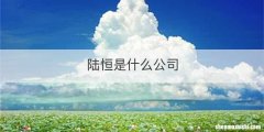 陆恒是什么公司