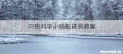 中班科学小蚂蚁进洞教案