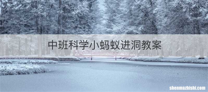 中班科学小蚂蚁进洞教案