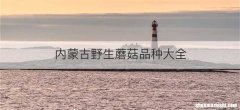内蒙古野生蘑菇品种大全