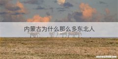 内蒙古为什么那么多东北人