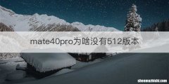 mate40pro为啥没有512版本