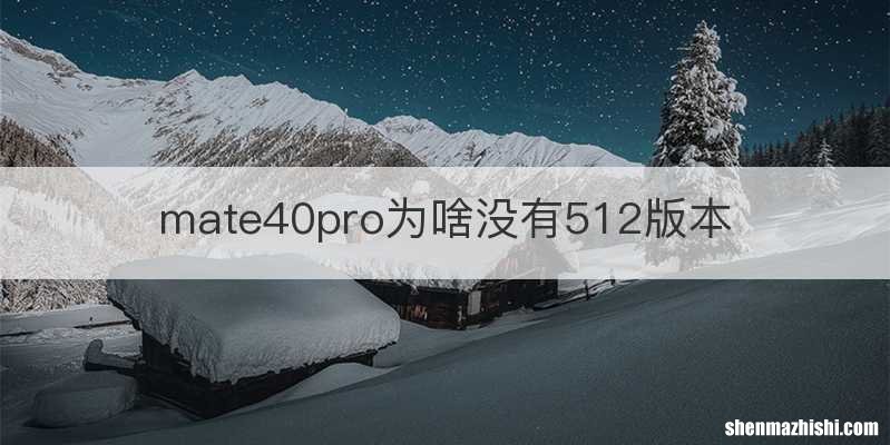 mate40pro为啥没有512版本