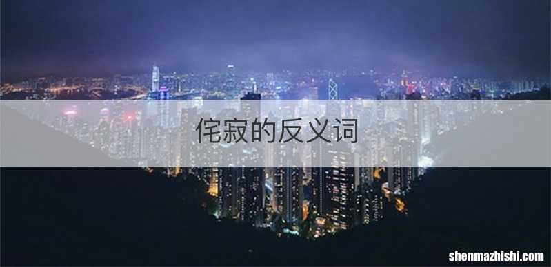 侘寂的反义词