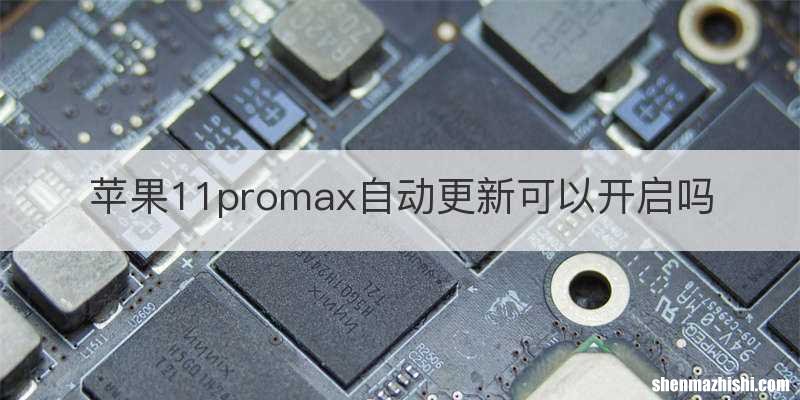 苹果11promax自动更新可以开启吗
