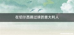 在切尔西踢过球的意大利人
