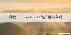 华为matepadpro11能扩展内存吗