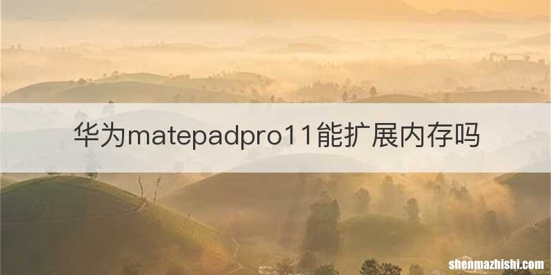华为matepadpro11能扩展内存吗