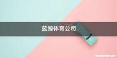 蓝鲸体育公司