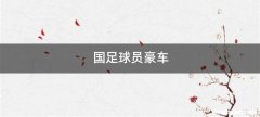 国足球员豪车