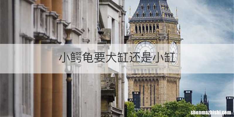 小鳄龟要大缸还是小缸
