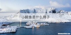 小鳄鱼是什么牌子