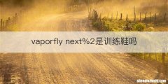 vaporfly next%2是训练鞋吗