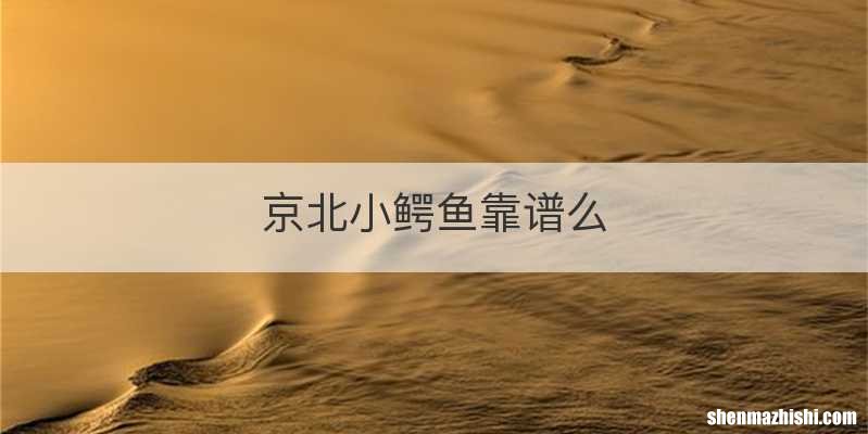 京北小鳄鱼靠谱么