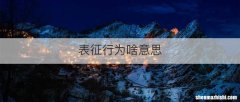 表征行为啥意思
