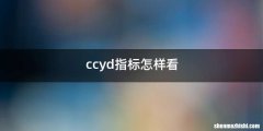 ccyd指标怎样看