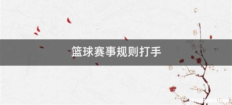 篮球赛事规则打手