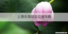 上海去海陵岛交通攻略