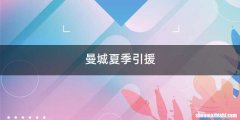 曼城夏季引援