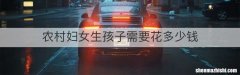 农村妇女生孩子需要花多少钱