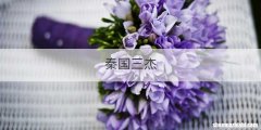 秦国三杰