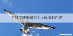 支付宝商家码和个人码同时用吗