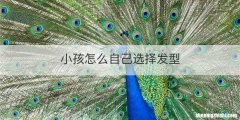 小孩怎么自己选择发型