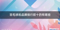 羽毛球拍品牌排行前十的有哪些