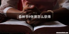 森林书9张图怎么获得