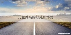 儿童养鸟的好处和坏处