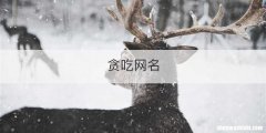 贪吃网名