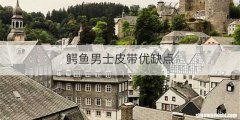 鳄鱼男士皮带优缺点