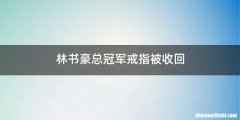 林书豪总冠军戒指被收回