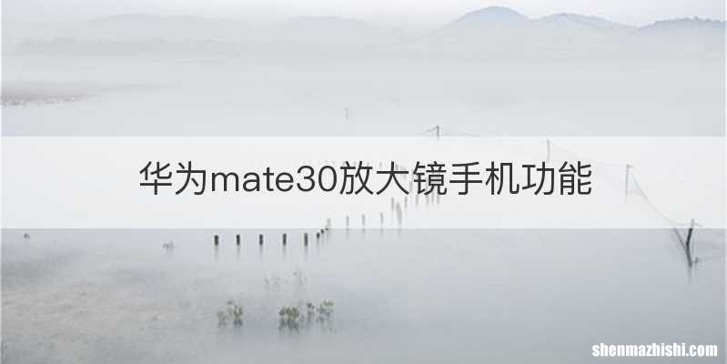 华为mate30放大镜手机功能