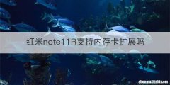 红米note11R支持内存卡扩展吗