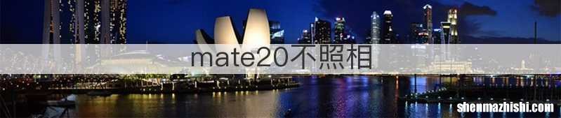 mate20不照相