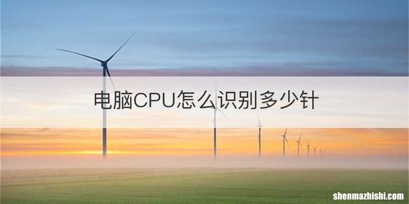 电脑CPU怎么识别多少针