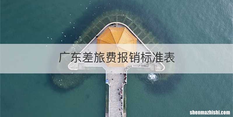 广东差旅费报销标准表