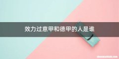 效力过意甲和德甲的人是谁