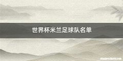 世界杯米兰足球队名单