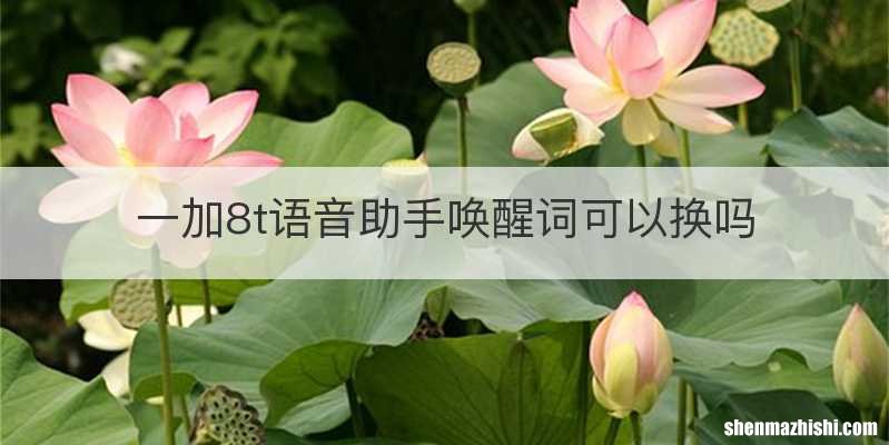 一加8t语音助手唤醒词可以换吗