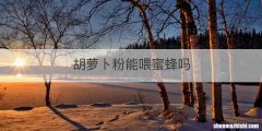 胡萝卜粉能喂蜜蜂吗