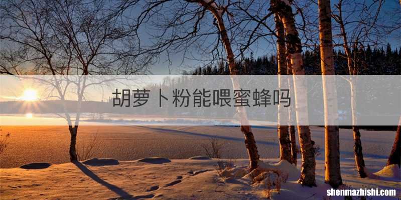 胡萝卜粉能喂蜜蜂吗