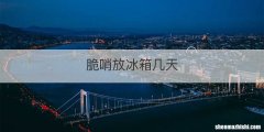 脆哨放冰箱几天