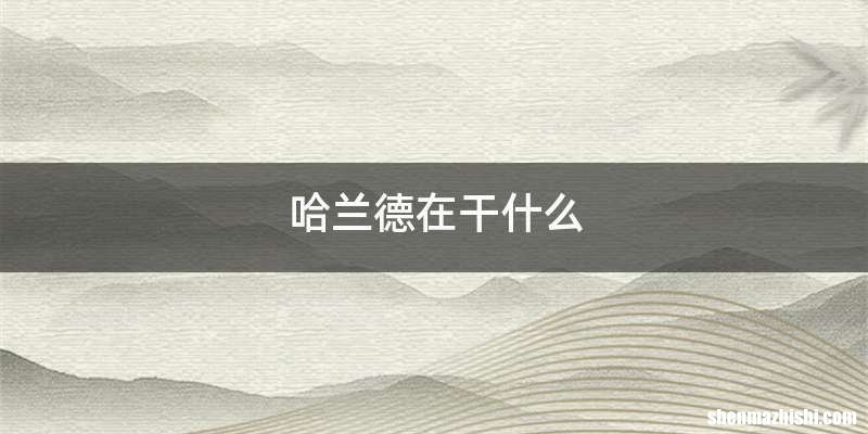 哈兰德在干什么