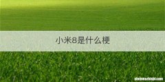 小米8是什么梗