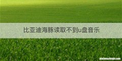 比亚迪海豚读取不到u盘音乐