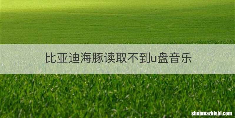 比亚迪海豚读取不到u盘音乐