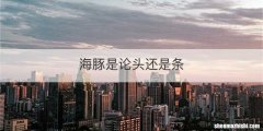 海豚是论头还是条