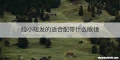 脸小短发的适合配带什么眼镜